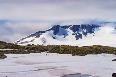Spor aktivitesi. Norveç 'in Lom ve Luster kentleri arasındaki 55 Sognefjellet ulusal turizm rotasında kayak. Çalışan insanlar.