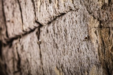 Taş dokulu dağcılık metal kolları ve kayalar. Doku ve desenler kavramı.