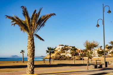 Bolnuevo Beach, Murcia region, Costa Calida in Spain.. Coastal landscape with palm trees and town on cliff clipart
