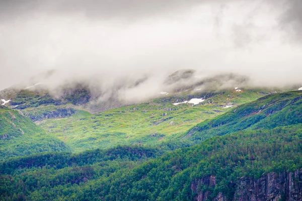 Norveç Skandinavya Sisli Manzara Dağlar Doğa — Stok fotoğraf