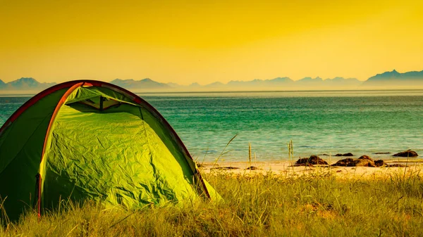 Tent Aan Strand Aan Kust Zomer Kamperen Aan Kust Lofoten — Stockfoto