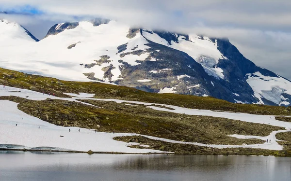 Attività Sportive Sci Fondo Estivo Sulla Strada Sognefjellet Percorso Turistico — Foto Stock