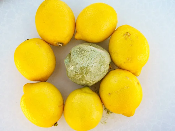 健康的で緑のカビレモン柑橘類 腐った真菌食品 — ストック写真