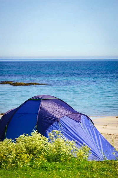 Tent on beach seashore in summer. Camping on ocean shore. Lofoten archipelago Norway. Holidays and travel.
