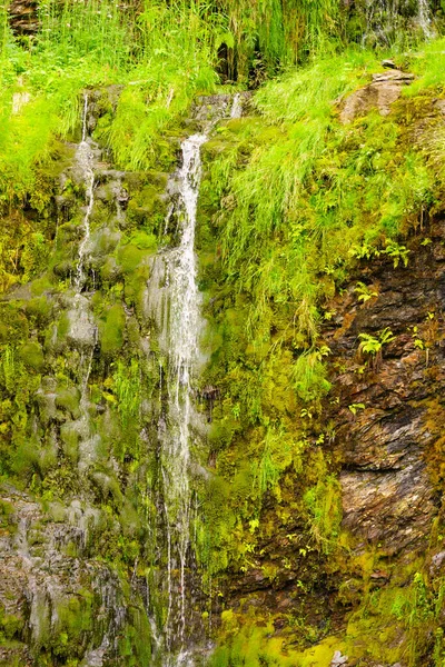 Pequena Cachoeira Verdes Montanhas Verão Noruega — Fotografia de Stock