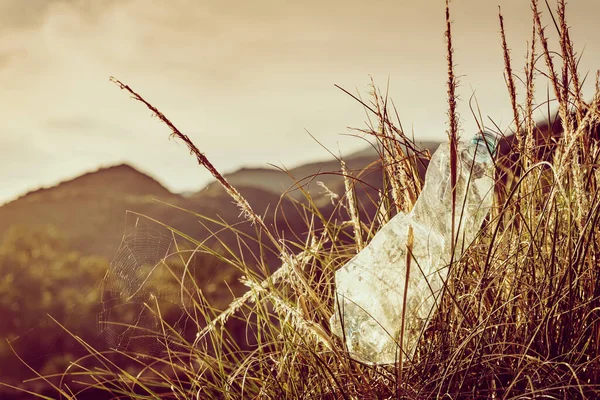 Leere Wasserflasche Aus Plastik Die Der Natur Überlassen Wurde Hintergrund — Stockfoto