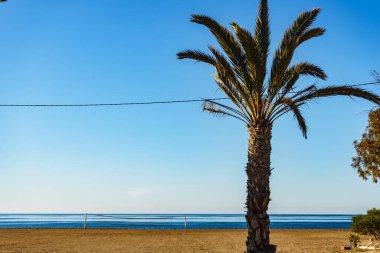 Bolnuevo Beach, Murcia region, Costa Calida in Spain.. Coastal landscape with palm trees clipart
