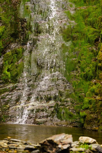 緑の夏の山 ノルウェーの小さな滝 — ストック写真