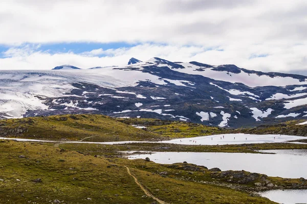 Sport Treiben Langlauf Sommerski Auf Der Nationalen Touristenroute Sognefjellet Zwischen — Stockfoto