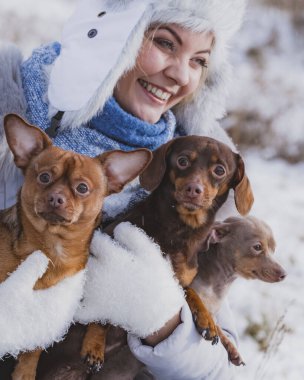 Genç bir kadın dışarıda karda eğleniyor. Dişi, soğuk kış gününde küçük safkan köpekleriyle oynuyor..