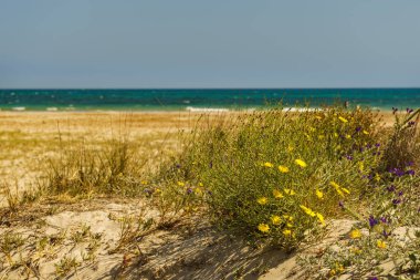 San Pedro del Pinatar Parkı 'ndaki deniz manzarası, Murcia İspanya. Bölgesel park
