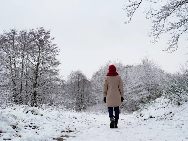 Πίσω Όψη Της Ενήλικης Γυναίκας Πόδια Στο Δάσος Χειμώνα Χιονάτη — Φωτογραφία Αρχείου