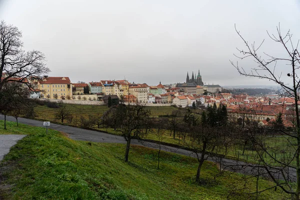 Praga Este Capitala Cel Mai Mare Oraș Din Republica Cehă — Fotografie, imagine de stoc