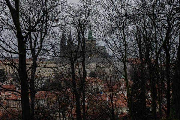 Прага Является Столицей Крупнейшим Городом Чехии Величине Городом Европейском Союзе — стоковое фото