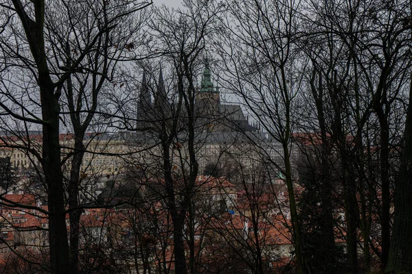 Praga Capital Maior Cidade República Checa Décima Quarta Maior Cidade — Fotografia de Stock