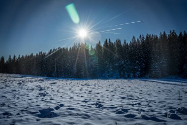 Çek Cumhuriyeti 'nde Sumava olarak bilinen Bohem Ormanı, Orta Avrupa' da alçak bir sıradağdır. Bir tarafta Çek Cumhuriyeti, diğer tarafta Almanya ve Avusturya arasında doğal bir sınır oluşturuyorlar..