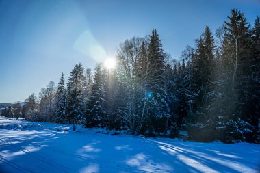 Çek Cumhuriyeti 'nde Sumava olarak bilinen Bohem Ormanı, Orta Avrupa' da alçak bir sıradağdır. Bir tarafta Çek Cumhuriyeti, diğer tarafta Almanya ve Avusturya arasında doğal bir sınır oluşturuyorlar..