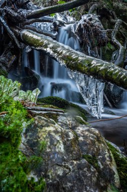 Çek Cumhuriyeti 'nde Sumava olarak bilinen Bohem Ormanı, Orta Avrupa' da alçak bir sıradağdır. Bir tarafta Çek Cumhuriyeti, diğer tarafta Almanya ve Avusturya arasında doğal bir sınır oluşturuyorlar..