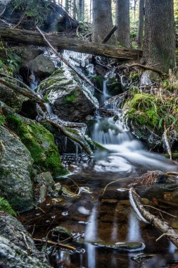 Çek Cumhuriyeti 'nde Sumava olarak bilinen Bohem Ormanı, Orta Avrupa' da alçak bir sıradağdır. Bir tarafta Çek Cumhuriyeti, diğer tarafta Almanya ve Avusturya arasında doğal bir sınır oluşturuyorlar..