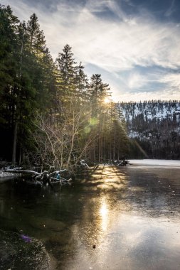 Çek Cumhuriyeti 'nde Sumava olarak bilinen Bohem Ormanı, Orta Avrupa' da alçak bir sıradağdır. Bir tarafta Çek Cumhuriyeti, diğer tarafta Almanya ve Avusturya arasında doğal bir sınır oluşturuyorlar..
