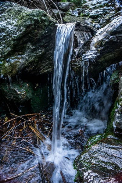 Bosque Bohemia Conocido Checo Como Sumava Una Cordillera Baja Europa — Foto de Stock