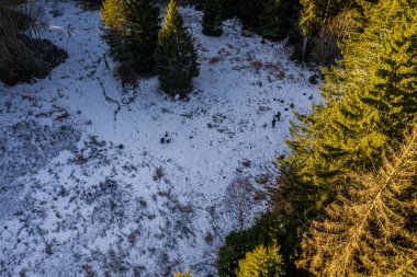 Cerne Jezero, Çek Cumhuriyeti 'nin en büyük ve en derin doğal gölüdür. Ladin ormanlarıyla çevrili bu üçgen göl Zelezna Ruda 'nın yaklaşık 6 km kuzeybatısında yer almaktadır..