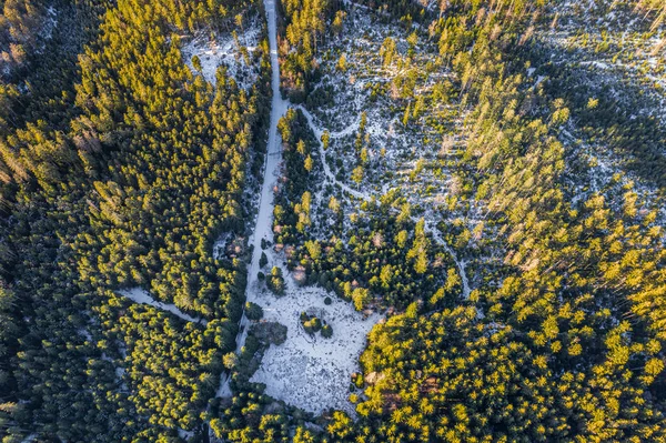 ボヘミアの森の中にあるツェルン ジェゼロは チェコで最大かつ最も深い自然湖です スプルースの森に囲まれたこの三角形の湖は Zelezna Rudaの北西約6キロに位置しています — ストック写真