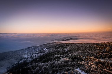 Jested, Çek Cumhuriyeti 'nin kuzeyinde Liberec' in güneybatısında yer alan bir dağdır. 517 metrelik vaadiyle Çek Cumhuriyeti 'nin en önde gelen 11. dağıdır..