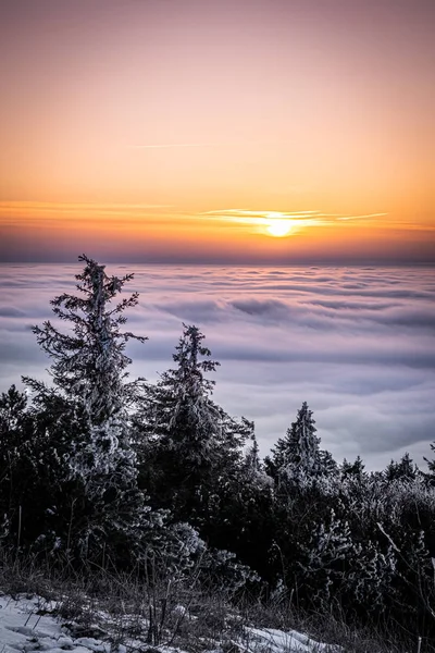 Джестед Гора Севере Чехии Юго Западу Либерца Обещанием 517 Метров — стоковое фото
