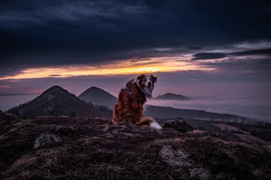Central Bohemian Highlands Çek Cumhuriyeti 'nin Bohemya eyaletinin kuzeyinde yer alan bir sıradağdır. Menzil yaklaşık 80 km uzunluğunda, kuzeydoğudaki Ceska Lipa 'dan Louny' a kadar uzanıyor..