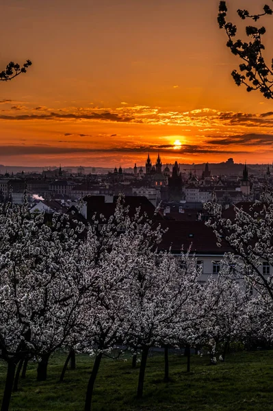 Praga Capitale Città Più Grande Della Repubblica Ceca Tredicesima Città — Foto Stock