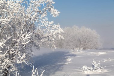 Soğuk bir günde, kışın peri masalı ormanı