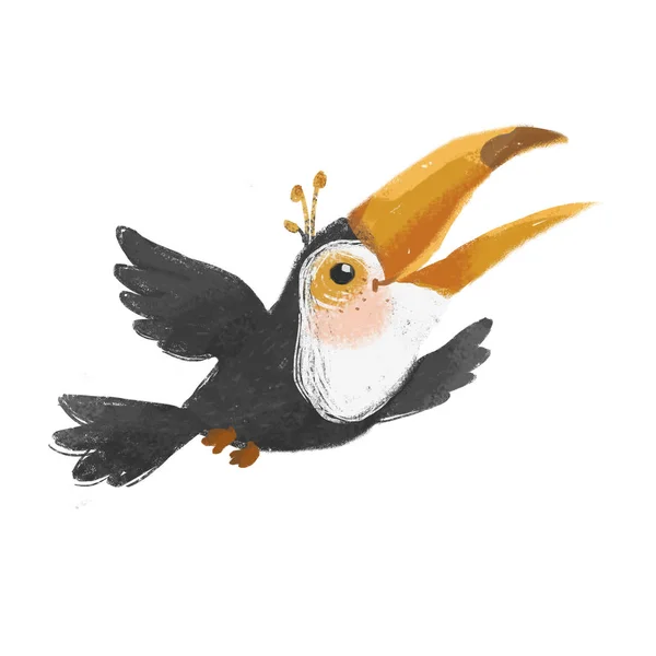 Fröhliches Tukan-Fliegen — Stockfoto