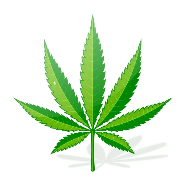 Cannabis hampa blad platt ikon — Stock vektor