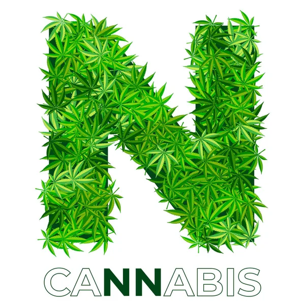 Cannabis Hemp Leaf Logo — Stock Vector