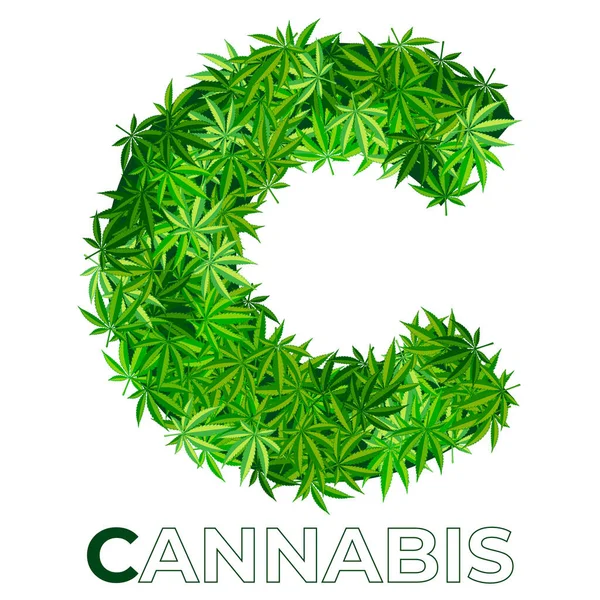 Cannabis hampa blad logotyp — Stock vektor