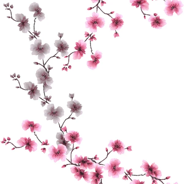 Seamless modeli küçük pembe ve gri çiçekler beyaz arka plan üzerinde. Suluboya — Stok fotoğraf