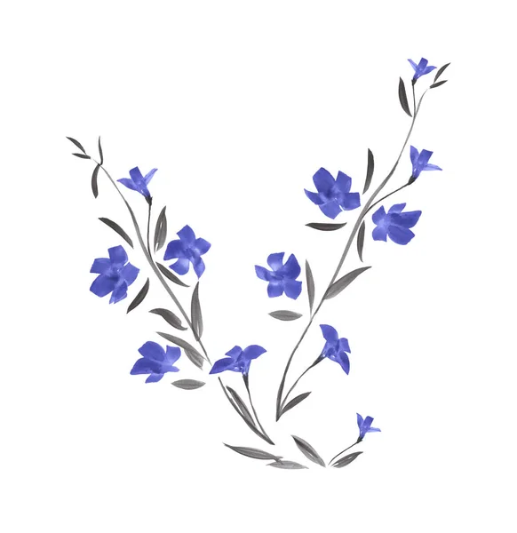 Дикие голубые цветы. Ветка акварели на белом фоне. Isolated . Стоковое Изображение