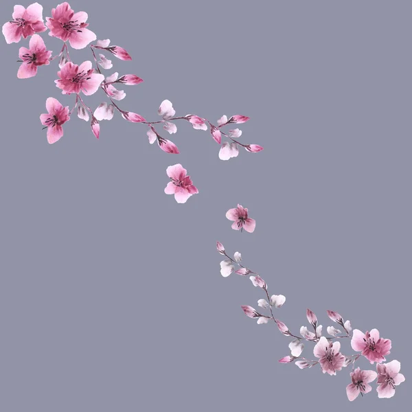 Watercolor blossoming spring branch with pink flowers on a deep gray background. Isolated — Stock Photo, Image