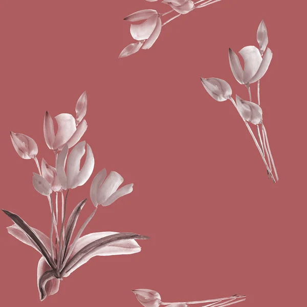 Nahtloses Muster von Tulpen mit grauen und beigen Blüten auf tiefrosa Hintergrund. Aquarell — Stockfoto