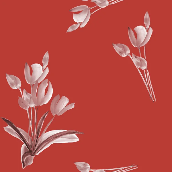 Nahtloses Muster von Tulpen mit beigen Blüten auf tiefrotem Hintergrund. Aquarell — Stockfoto
