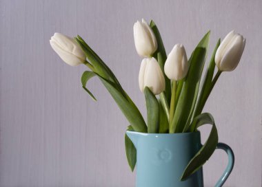 Minimalist içinde beyaz laleler. 