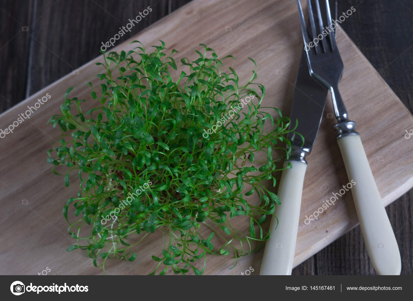 Healthy Vegetarian Food Fresh Herbs Fresh Cress Sprouting Stock