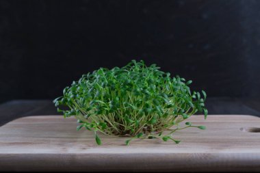 Seçici odak taze tere salatası makro çekim. 