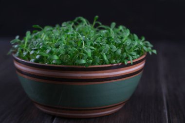 Seçici odak taze tere salatası makro çekim. 