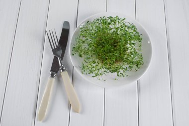 Garden cress çatal ve bıçak beyaz plaka üzerinde