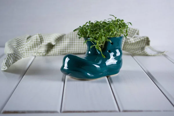 Zapato bota miniatura con berro fresco — Foto de Stock