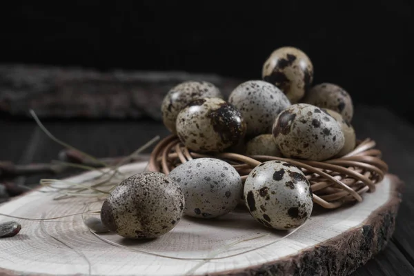 Easter composition with quail eggs and twigs of willow blossom — Stock Photo, Image