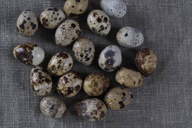 Küçük bıldırcın yumurtası ile dokulu bahar arka plan. 