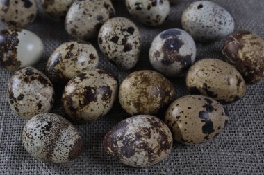 Küçük bıldırcın yumurtası ile dokulu bahar arka plan. 